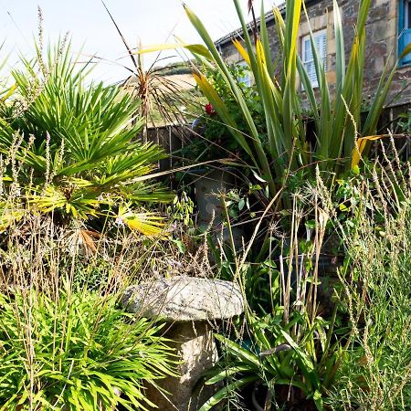 The Moonbeach Cabin Gorran Haven Bagian luar foto